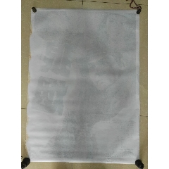 南非签证样本资料
